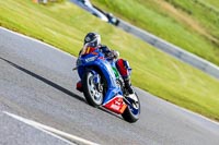 Oulton-Park-14th-March-2020;PJ-Motorsport-Photography-2020;anglesey;brands-hatch;cadwell-park;croft;donington-park;enduro-digital-images;event-digital-images;eventdigitalimages;mallory;no-limits;oulton-park;peter-wileman-photography;racing-digital-images;silverstone;snetterton;trackday-digital-images;trackday-photos;vmcc-banbury-run;welsh-2-day-enduro